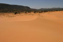 Highlight for Album: Coral Pink Sand Dunes State Park