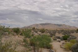 Zaczlimy od czci poudniowej, ktra jest czci pustyni Kolorado, gortszej czci ni pnocna pustynia Mojave.