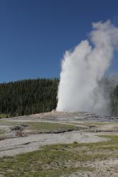 Old Faithful jest najbardziej znanym gejzerem o bardzo regularnym cyklu, ktrego erupcje przycigaj tumy