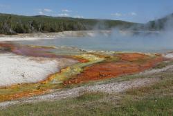 Okolice Grand Prismatic Spring to raj dla termofilnych bakterii